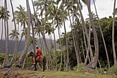 Stopover in Ua Uka island, village of Hane. Marquesas archipelago. French Polynesia