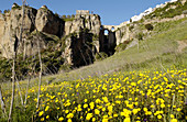 Puente Nuevo, bridge. Ronda. Malaga province. Spain