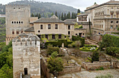 The Alhambra. Granada. Spain