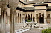 Innenhof der Löwen, Alhambra. Granada. Spanien