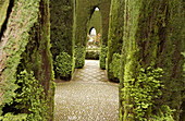 Generalife gardens, Alhambra. Granada. Spain