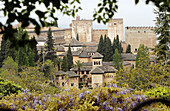 Alhambra. Granada. Spanien