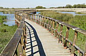 Tablas de Daimiel National Park. Ciudad Real province. Spain