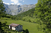 Picos de Europa National Park. Cantabria. Spain