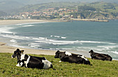 Playa de Meron. Parque Natural de Oyambre. San Vicente de la Barquera. Cantabria. Spain