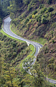 Country road, near Zumarraga, Guipuzcoa. Euskadi, Spain