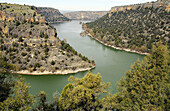 Hoces del Duratón Natural Park. Segovia province, Spain