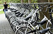 Bike parking, Het Nationale Park De Hoge Veluwe. Gelderland, Netherlands