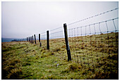 North Yorkshire-Dales, England, UK