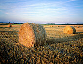 Straw bales at wheat field. Val-de-Loire. France