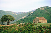 Traditional stone cabin. Corsica Island. France