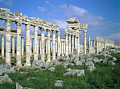 Ruins of colonnade along cardo (main street in ancient Roman cities). Apamea. Syria