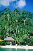 Hotel Beachcomber and cabin under the palm trees. Moorea island. Windward Islands. French Polynesia