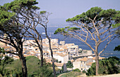 Overview of Saint-Tropez. Var. French Riviera. Provence. France