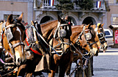 Horse carriages. Megeve. Winter and summer resort. Haute-Savoie. Alps. France