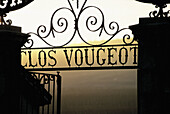 Vineyards in Clos Vougeot. Gate at dusk. Cote de Nuits. Cote d Or. Burgundy. France