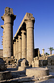 Luxor Temple colonnade. Luxor. High Egypt. Egypt