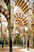 Interior of Great Mosque, Córdoba. Spain