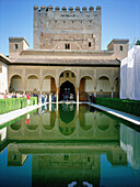 Tower of Comares and Patio de los Arrayanes (Court of the Myrtles), Alhambra. Granada. Spain