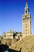 Giralda tower and Cathedral. Sevilla, Spain
