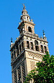 Giralda tower. Seville. Spain