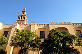 La Giralda in Sevilla. Andalucia. Spain