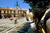 Palacio Arzobispal in Plaza del Triunfo . Seville. Andalusia. Spain