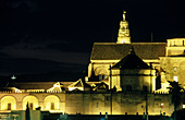 View of the Cathedral at night. Cordoba. Andalucia. Spain