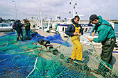 Fishermen mending nets on harbour quay. Granville. Manche. Normandy. France