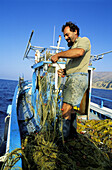 Fisherman on his boat pulling up nets. Agia Galini, Crete. Greece