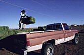 Cowboy loading hay. Kayenta, Arizona. USA
