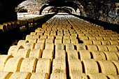 Cheese production. Roquefort. Aveyron. France