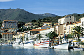 Harbour. Banyuls-sur-mer. Pyrenees-Orientales. Languedoc Roussillon. France