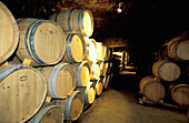 Oak casks. Cellier des Templiers. Banyuls-sur-mer. Pyrenees-Orientales. Languedoc Roussillon. France