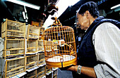 Yuen Po Street Bird Garden, Kowloon. Hong Kong. China