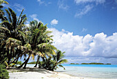 Rangiroa atoll landscape at Blue lagoon area. Tuamotus archipelago. French Polynesia