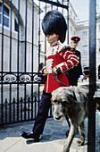 Regiments mascot. Trooping the Colour (Queen s birthday parade). London. England