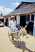 Lamu donkeys. Lamu. Indian Ocean Coast. Kenya