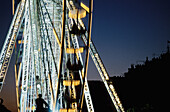 Ferris wheel at Jardin des Tuileries. Paris. France