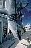 Fishing is a local must in Key West. Florida, USA