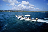 Game fishing. Grenada. Carribean