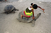 Giant turtle. La Digue Island. Seychelles archipelago. Indian Ocean.