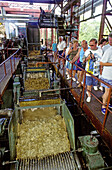 Rum Saint-James distillery. Martinique island. French antilles (caribbean)