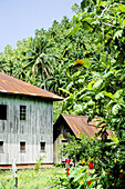 Fatu-Hiva island. Marquesas archipelago. French Polynesia