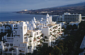 Tenerife, Canary Islands. Spain