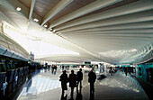 Principal Hall. Bilbao airport, by Santiago Calatrava. Bilbao. Euskadi. Spain