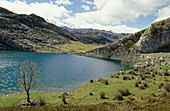 Lake Enol. Covadonga. Picos de Europa National Park. Asturias. Spain