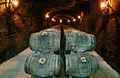 Wine cellar. Álava. Spain