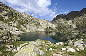 Estany dels Barbs. Parc Nacional d Aigües Tortes. Lleida province. Catalonia. Spain