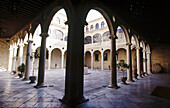 Palacio de los Guzmanes, Kreuzgang. León. Kastilien und León. Spanien